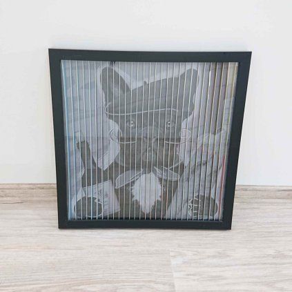 Obraz s rámem Art 3D French Dog 43×43 cm Kare