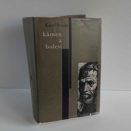 Kámen a bolest Karel Schulz
