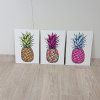 Trojdílný obraz Pineapple