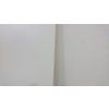 Bílá deska_4